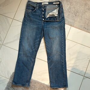 Aritzia Classic Straight Leg Jeans in Denim Blue